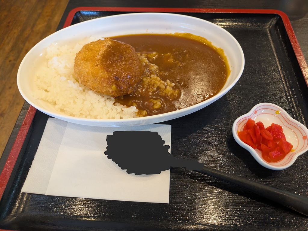 みとうごぼうを使ったコロッケカレー
スプーンにがっつり反射してた。